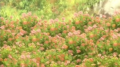 闪闪的红星剧照的剧照