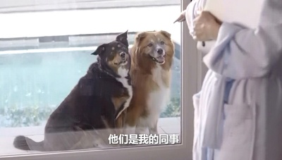 老妈操碎心剧照的剧照