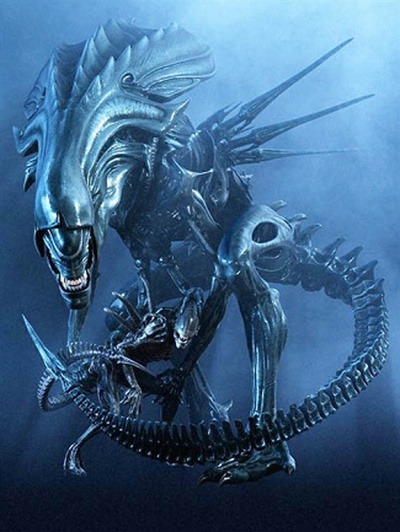 异形大战铁血战士剧照的剧照