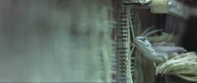 500年后剧照的剧照