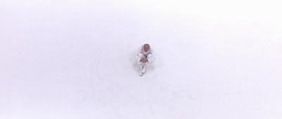 500年后剧照的剧照