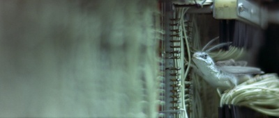 500年后剧照的剧照