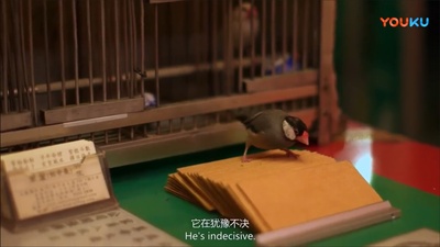 已是香港明日剧照的剧照