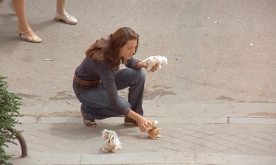 资产阶级的审慎魅力剧照的剧照