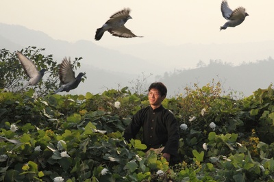 秋之白华剧照的剧照