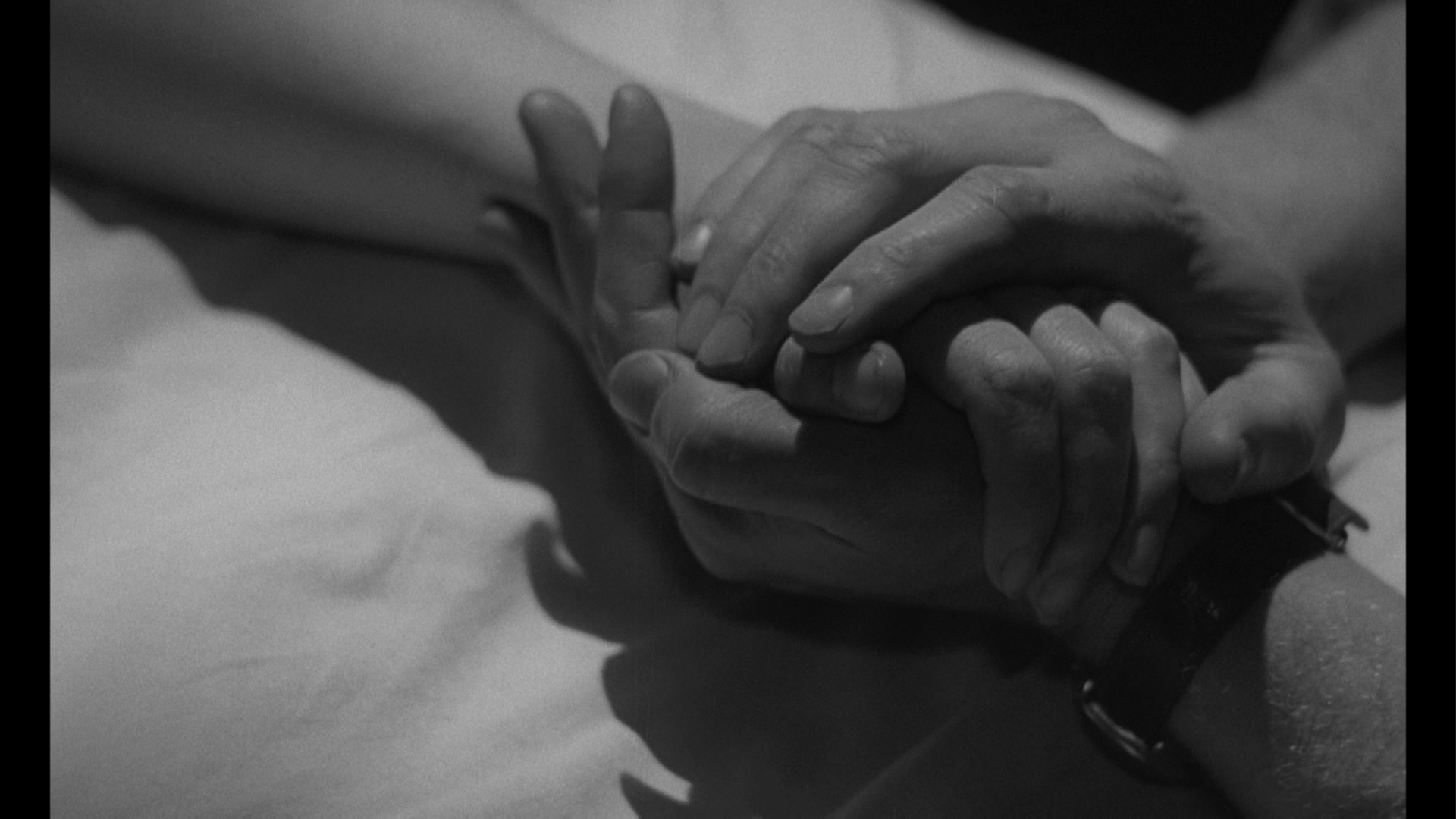 如此运动生涯剧照的剧照