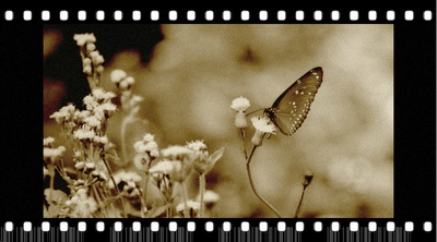 天水围的日与夜剧照的剧照