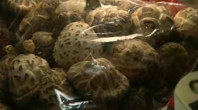 天水围的日与夜剧照的剧照