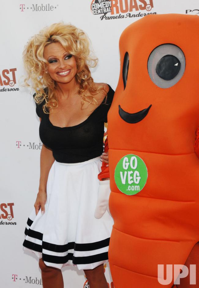 喜剧中心帕米拉·安德森吐槽大会剧照的剧照