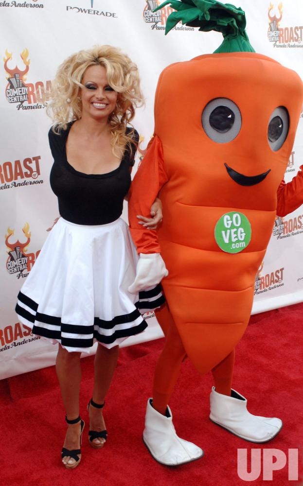 喜剧中心帕米拉·安德森吐槽大会剧照的剧照