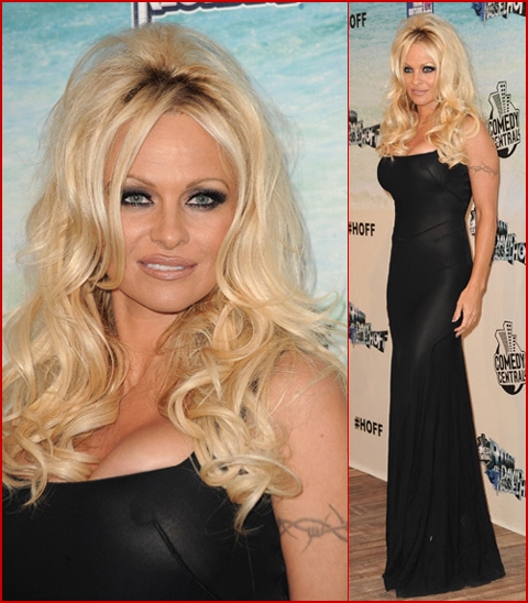 喜剧中心帕米拉·安德森吐槽大会剧照的剧照