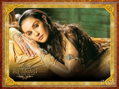 泰姬陵：永恒的爱情故事剧照的剧照