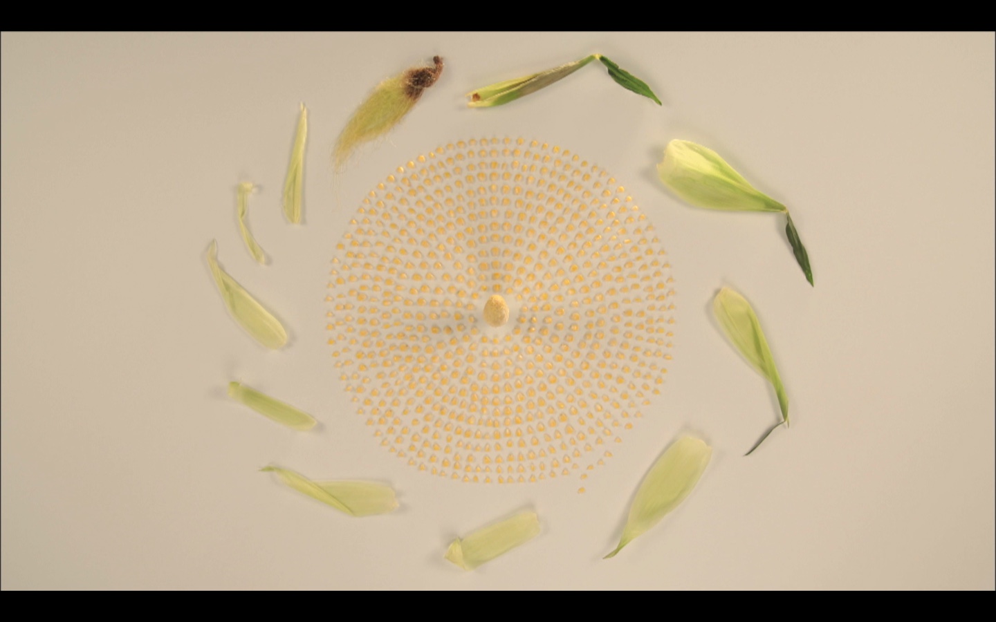 啊！设计剧照的剧照