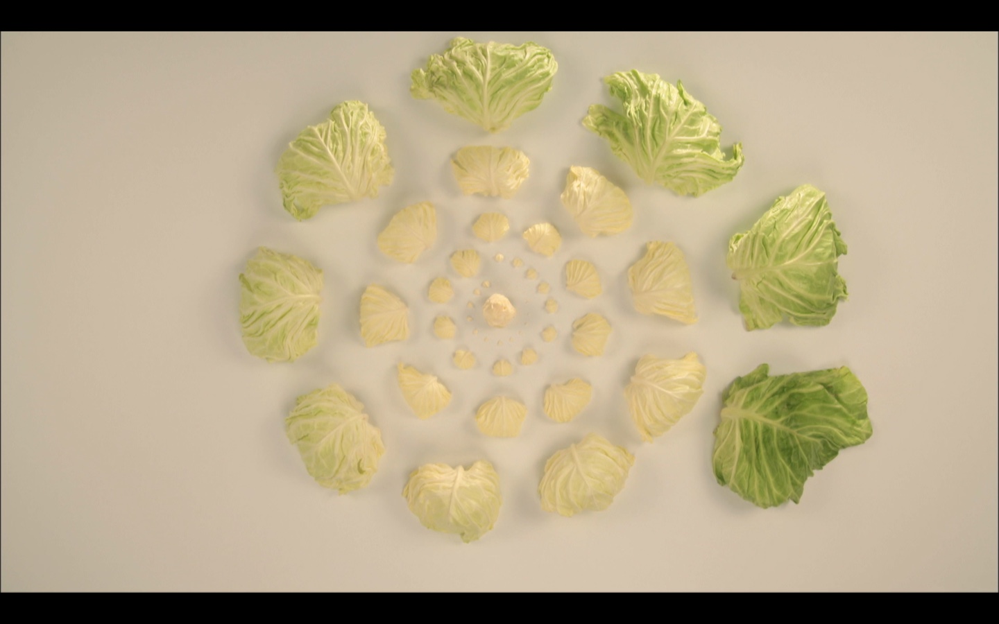 啊！设计剧照的剧照