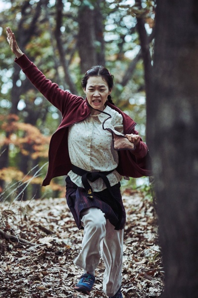 狩猎剧照的剧照