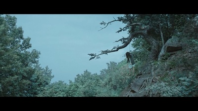 狩猎剧照的剧照