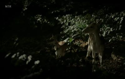 男孩剧照的剧照