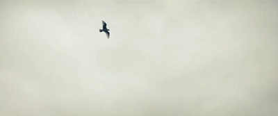 超人：钢铁之躯剧照的剧照