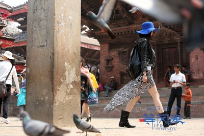 等风来剧照的剧照