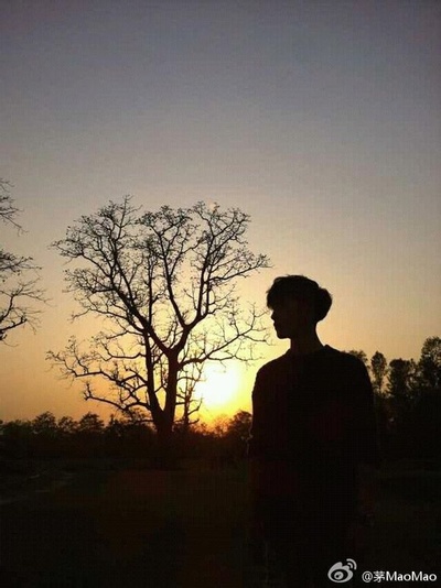 等风来剧照的剧照