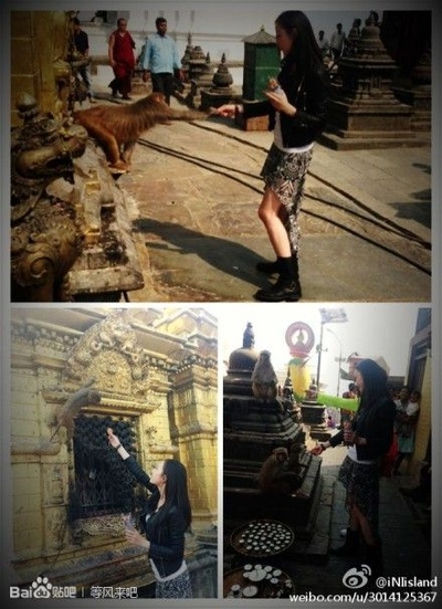 等风来剧照的剧照