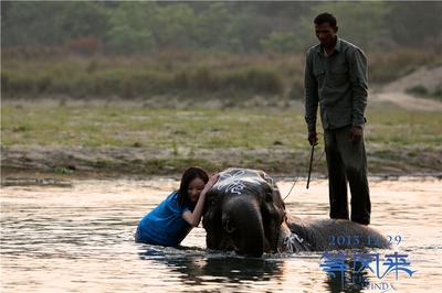 等风来剧照的剧照
