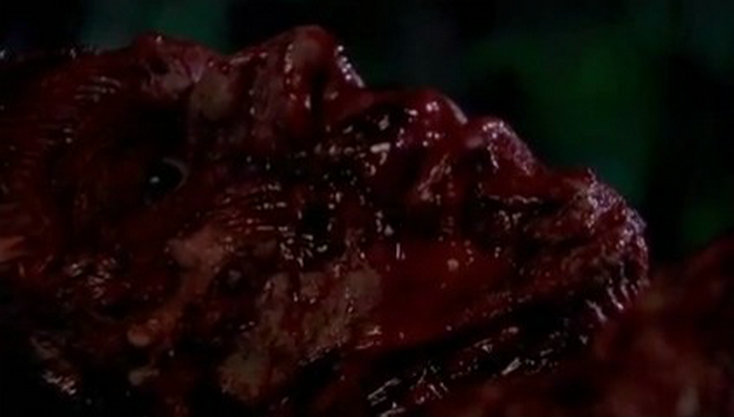 重回血腥死亡营剧照的剧照