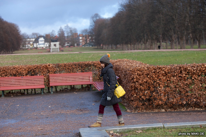 有村架纯 想看到极光! 北欧一人之旅剧照的剧照