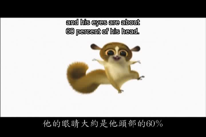 马达加斯加剧照的剧照