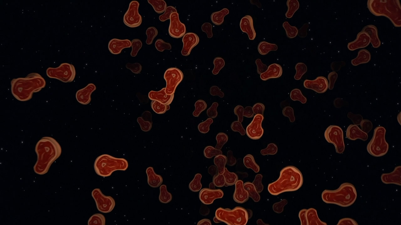 马达加斯加剧照的剧照