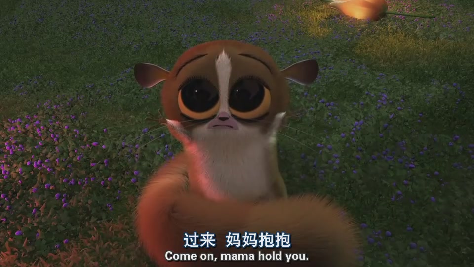 马达加斯加剧照的剧照