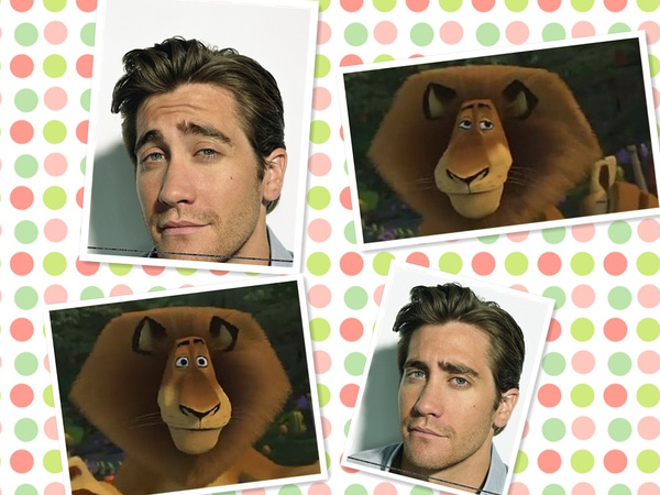 马达加斯加剧照的剧照