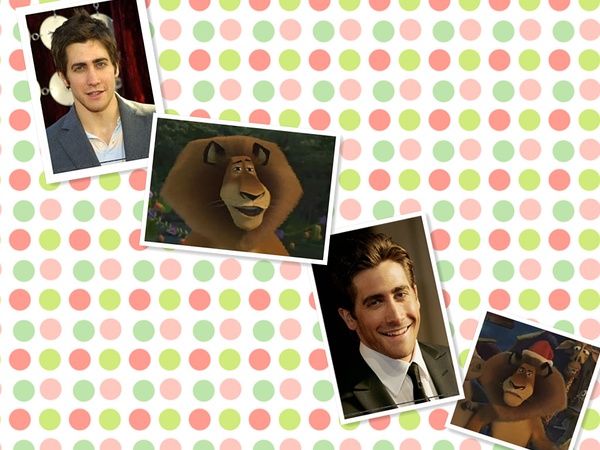 马达加斯加剧照的剧照