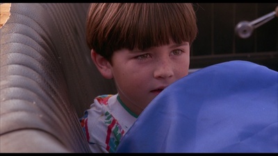 忍者小英雄剧照的剧照