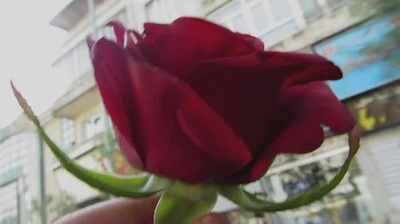 出租车剧照的剧照