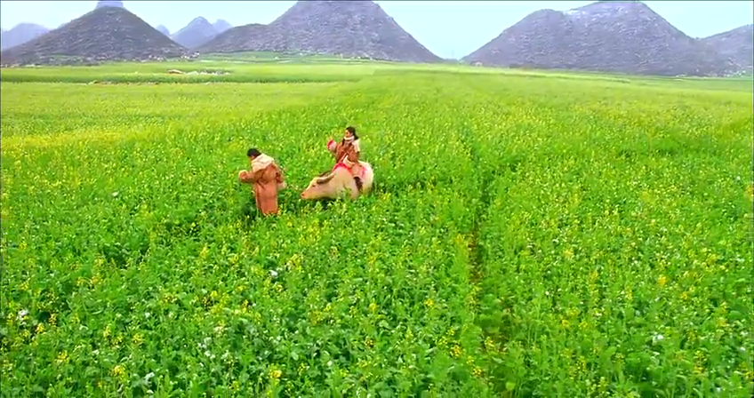 千机变Ⅱ花都大战剧照的剧照