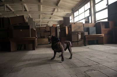 释放剧照的剧照