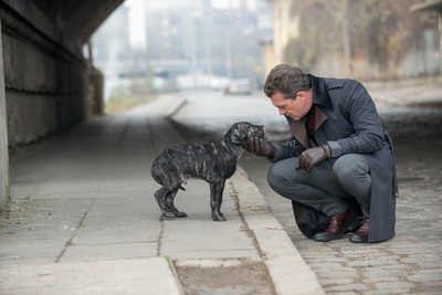 释放剧照的剧照