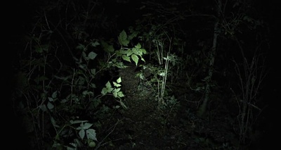 布莱尔女巫剧照的剧照