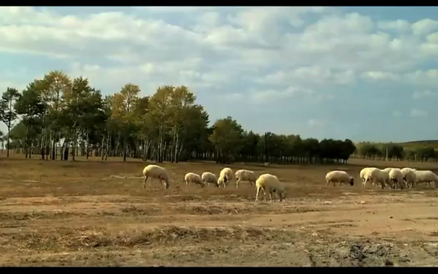 毛嗑儿剧照的剧照