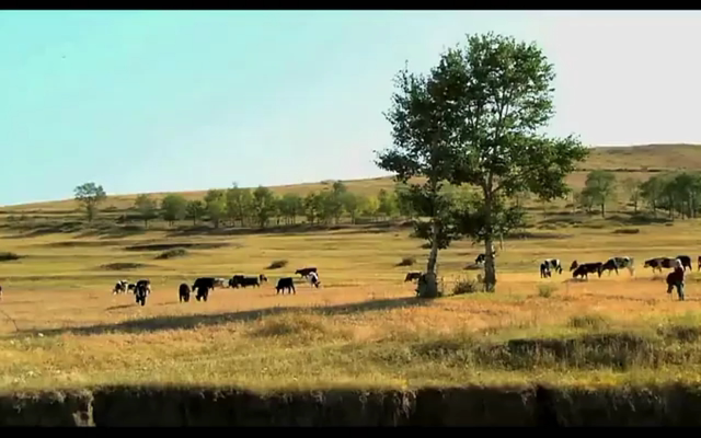 毛嗑儿剧照的剧照