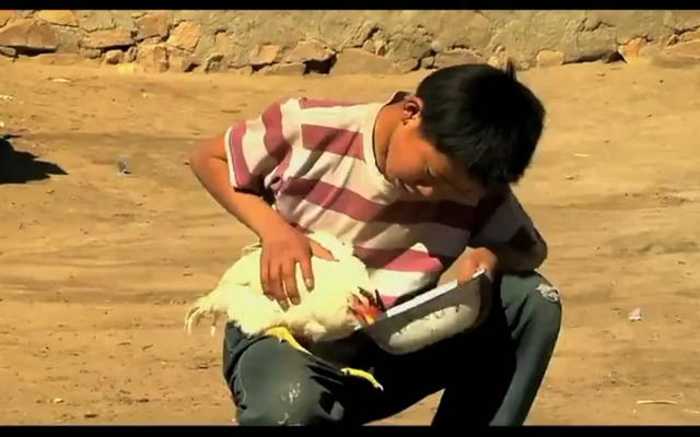 毛嗑儿剧照的剧照