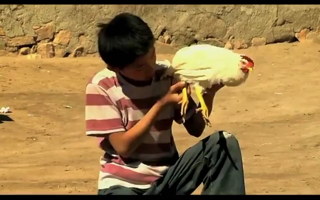 毛嗑儿剧照的剧照