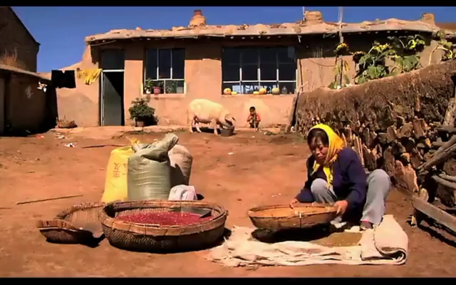 毛嗑儿剧照的剧照