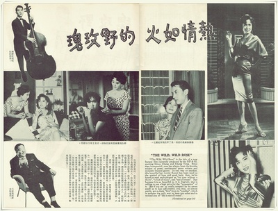 野玫瑰之恋剧照的剧照