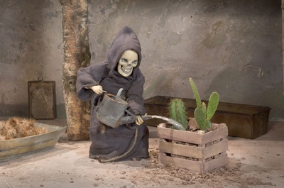 乌拉尔的蝴蝶君剧照的剧照