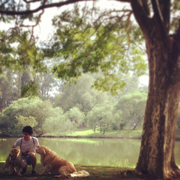 爱，简单剧照的剧照