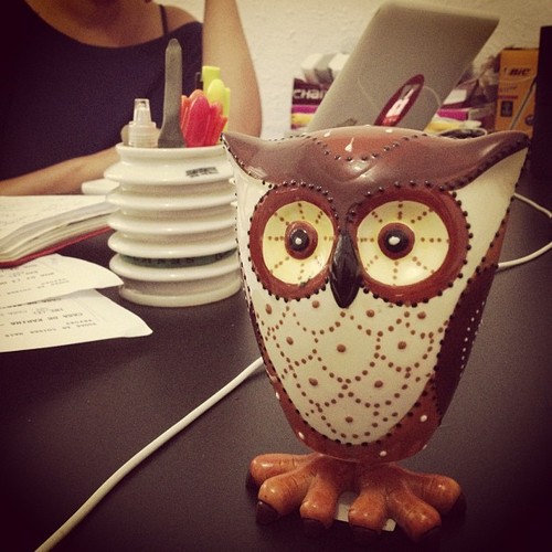 爱，简单剧照的剧照