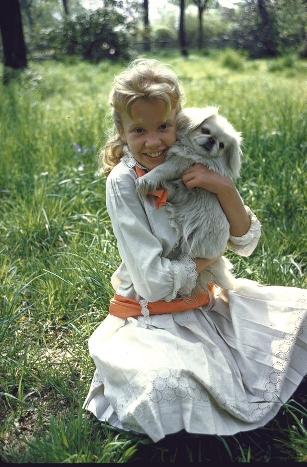 波莉安娜剧照的剧照