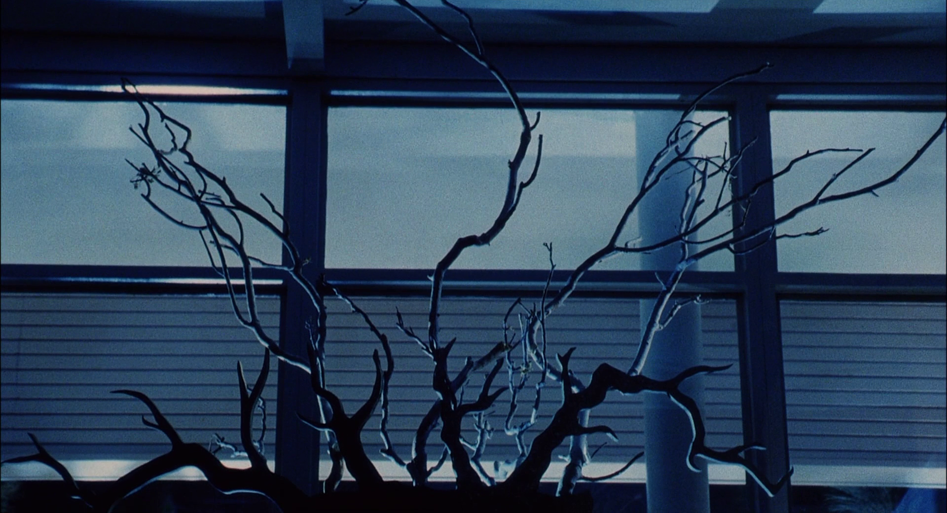 魔鬼褓姆剧照的剧照